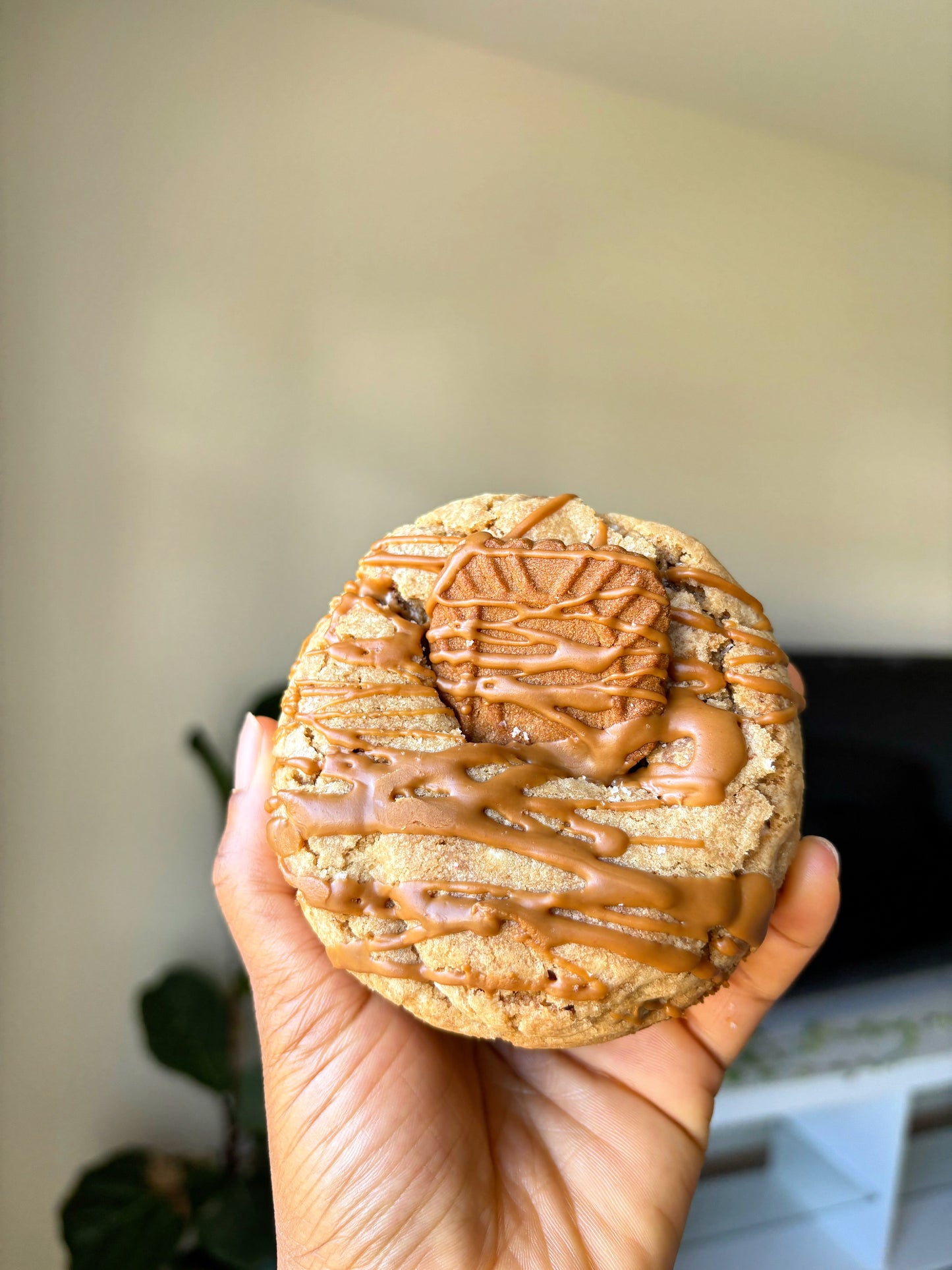 Biscoff Stuffed Cookies
