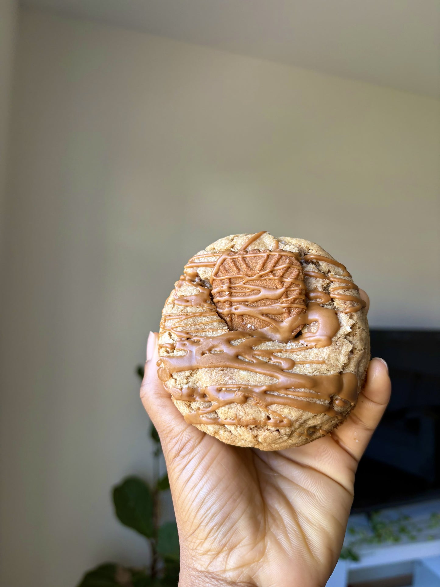 Biscoff Stuffed Cookies
